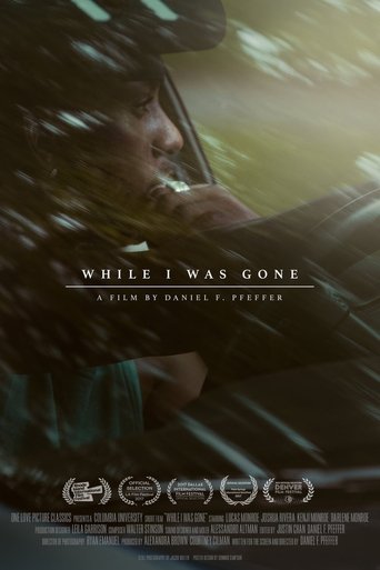 Poster of While I Was Gone