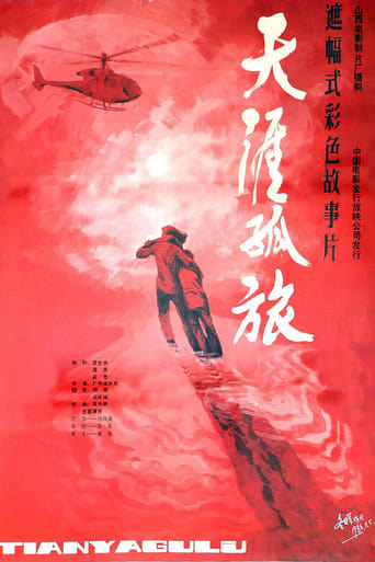 Poster of 天涯孤旅