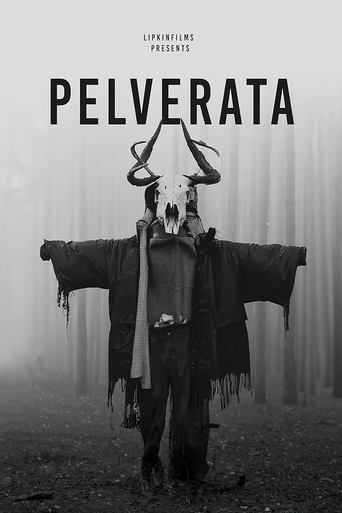 Poster of Pelverata