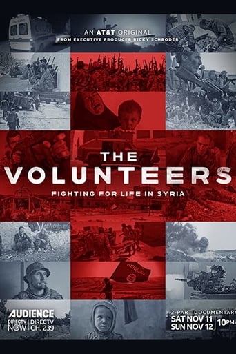 Poster of The Volunteers