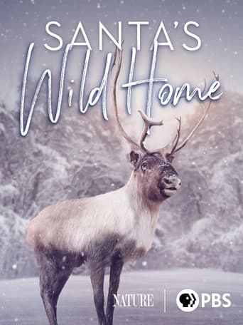 Poster of Santa's Wild Home