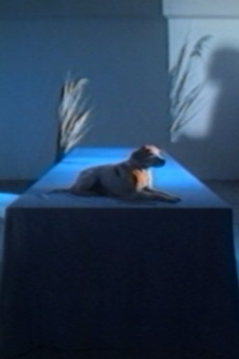 Poster of Between Dog and Wolf