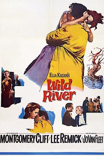 Poster of Wild River