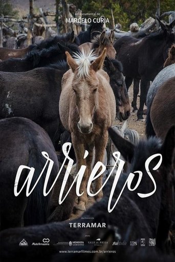 Poster of Arrieros
