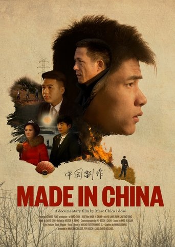 Poster of Made in China