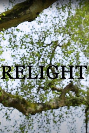 Poster of Relight