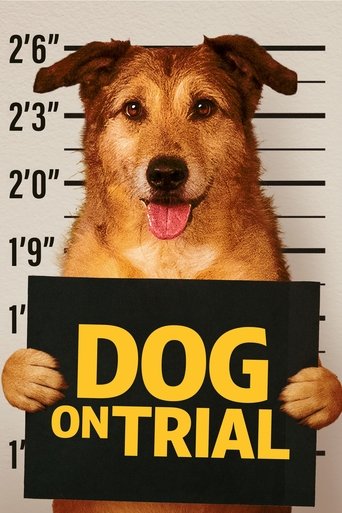 Poster of Dog on Trial