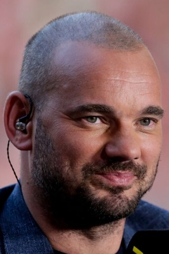 Portrait of Wesley Sneijder
