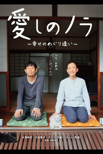 Poster of Itoshi no Nora