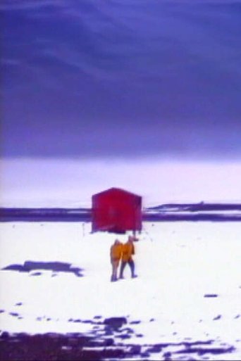 Poster of Winter Journey