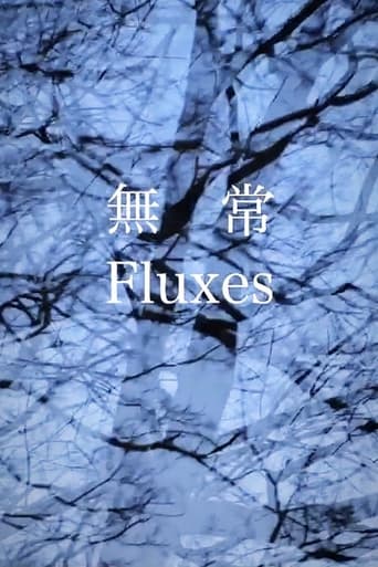 Poster of FLUXES