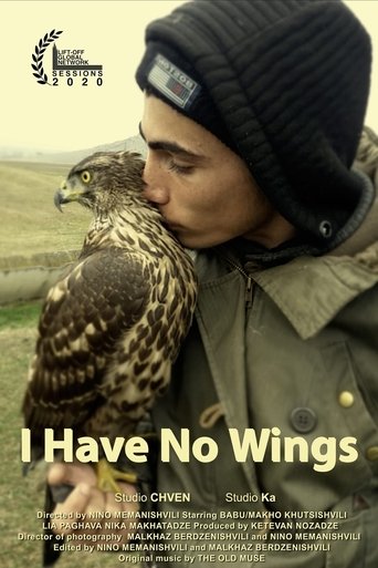 Poster of I Have No Wings