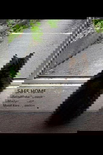 Poster of Safe Home