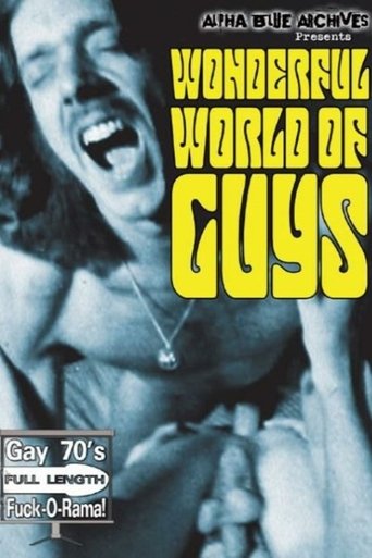Poster of The Wonderful World of Guys