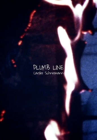 Poster of Plumb Line