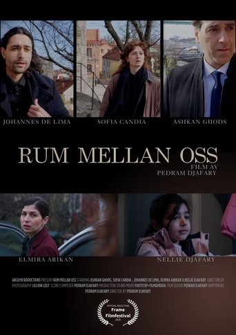 Poster of The room between us