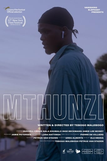 Poster of Mthunzi