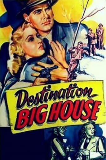 Poster of Destination Big House