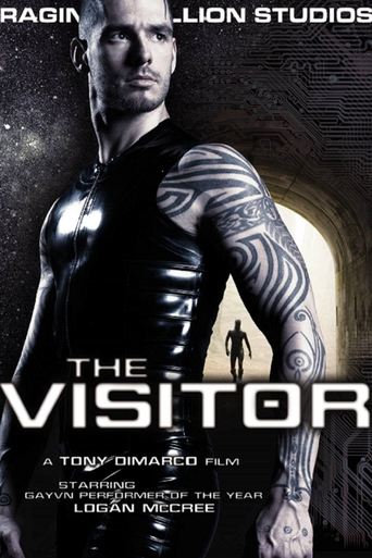 Poster of The Visitor