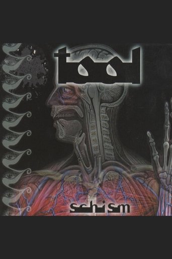 Poster of TOOL - Schism