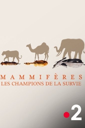 Poster of Mammifères, les champions de la survie