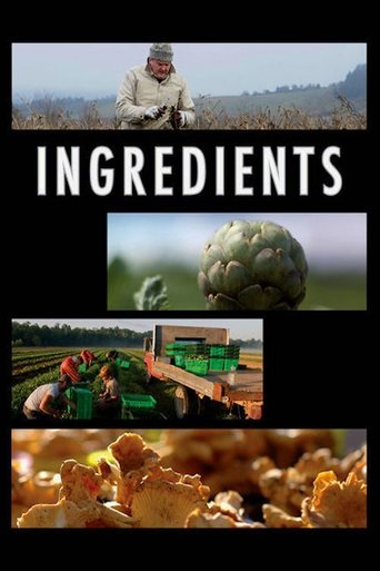 Poster of Ingredients