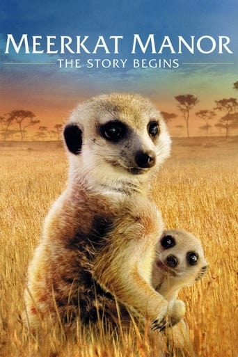 Poster of Meerkat Manor: The Story Begins