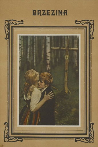 Poster of The Birch Wood