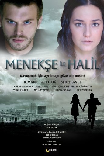 Poster of Menekse and Halil