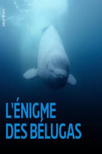 Poster of The Mystery of the Belugas