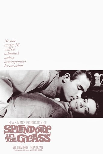 Poster of Splendor in the Grass