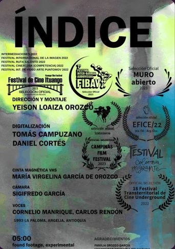 Poster of Index