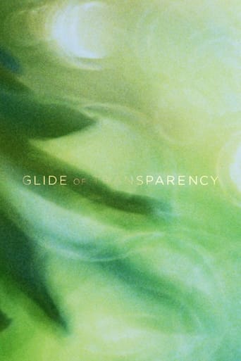 Poster of Glide of Transparency