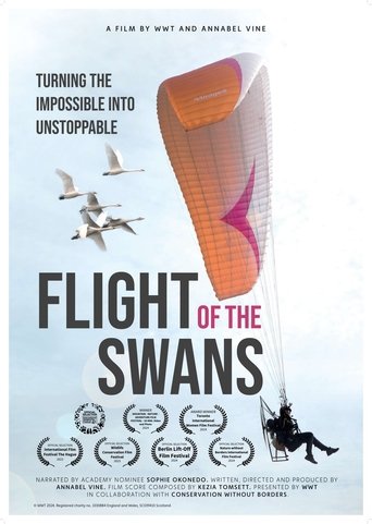 Poster of Flight of the Swans