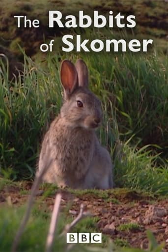 Poster of The Rabbits of Skomer