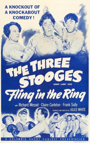 Poster of Fling in the Ring