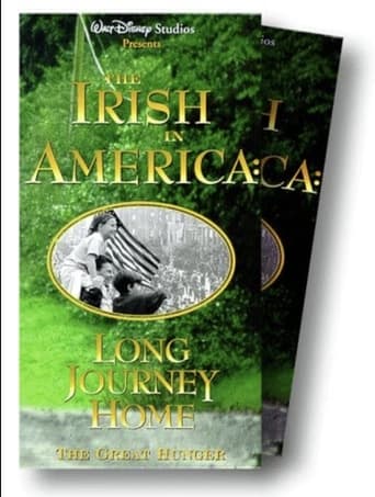 Poster of The Irish In America: Long Journey Home