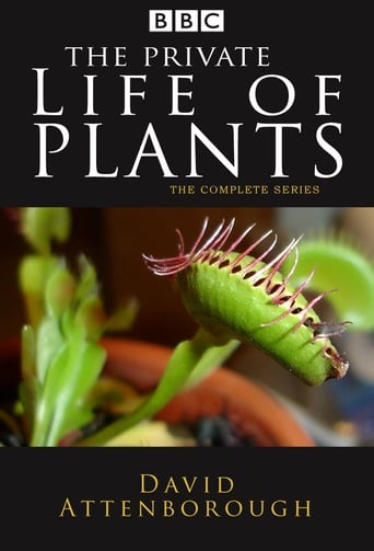 Poster of The Private Life of Plants