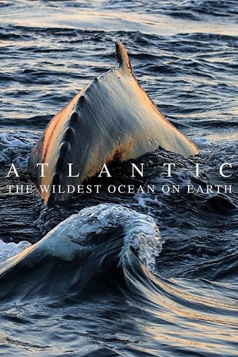 Poster of Atlantic: The Wildest Ocean on Earth