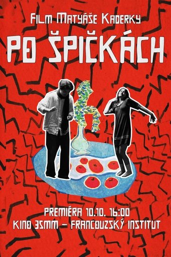 Poster of Po Špičkách