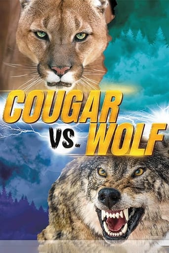 Poster of Cougar v. Wolf