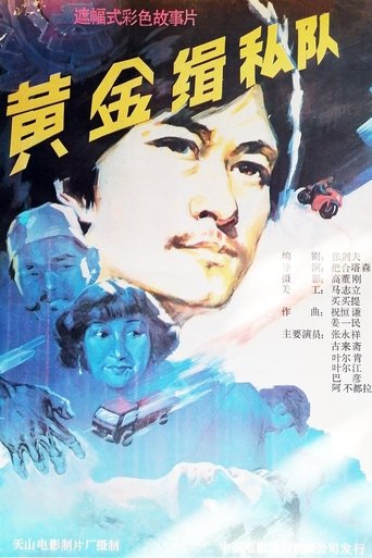Poster of 黄金缉私队
