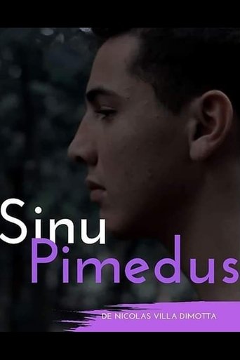 Poster of Sinu Pimedus
