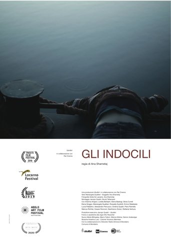 Poster of Gli indocili