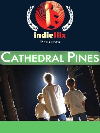 Poster of Cathedral Pines