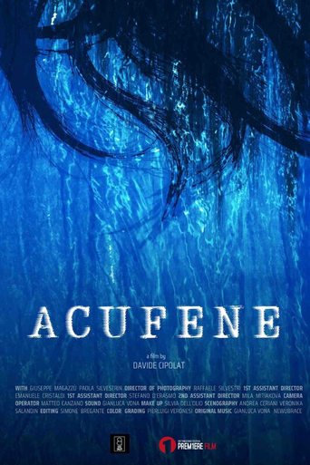 Poster of Acufene