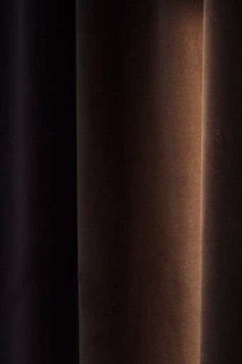 Poster of Friendship, dialogues (silences)