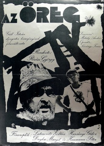 Poster of The Old Man