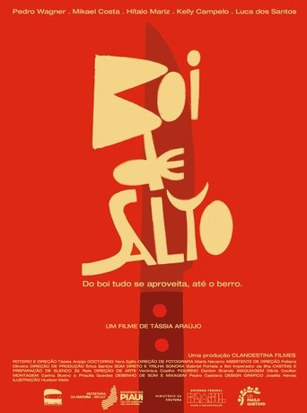 Poster of Boi de Salto