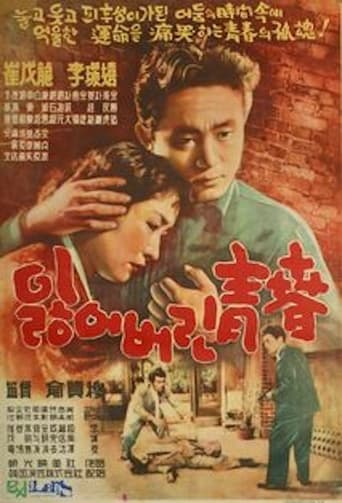 Poster of The Lost Youth